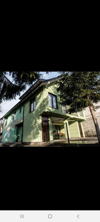 فندق Casa Alma Borşa المظهر الخارجي الصورة