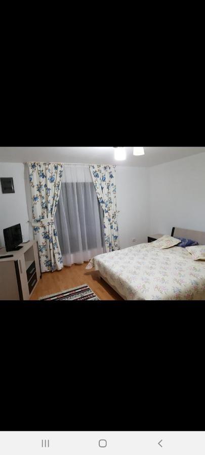 فندق Casa Alma Borşa المظهر الخارجي الصورة
