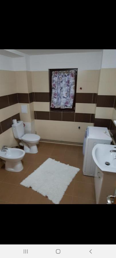 فندق Casa Alma Borşa المظهر الخارجي الصورة