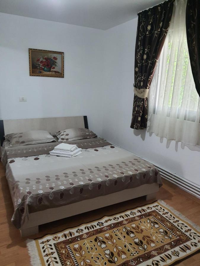 فندق Casa Alma Borşa المظهر الخارجي الصورة