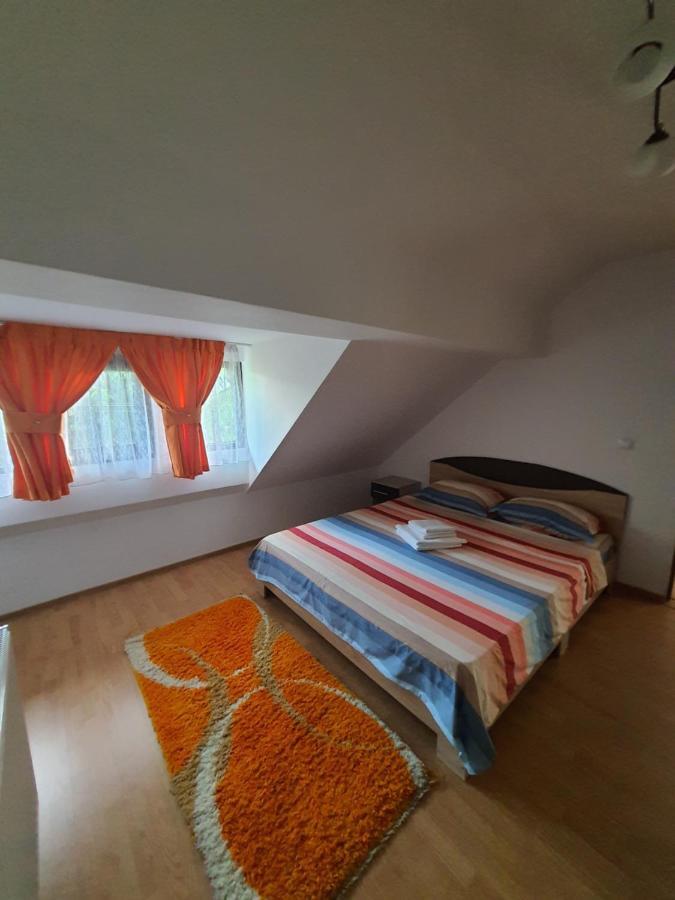 فندق Casa Alma Borşa المظهر الخارجي الصورة