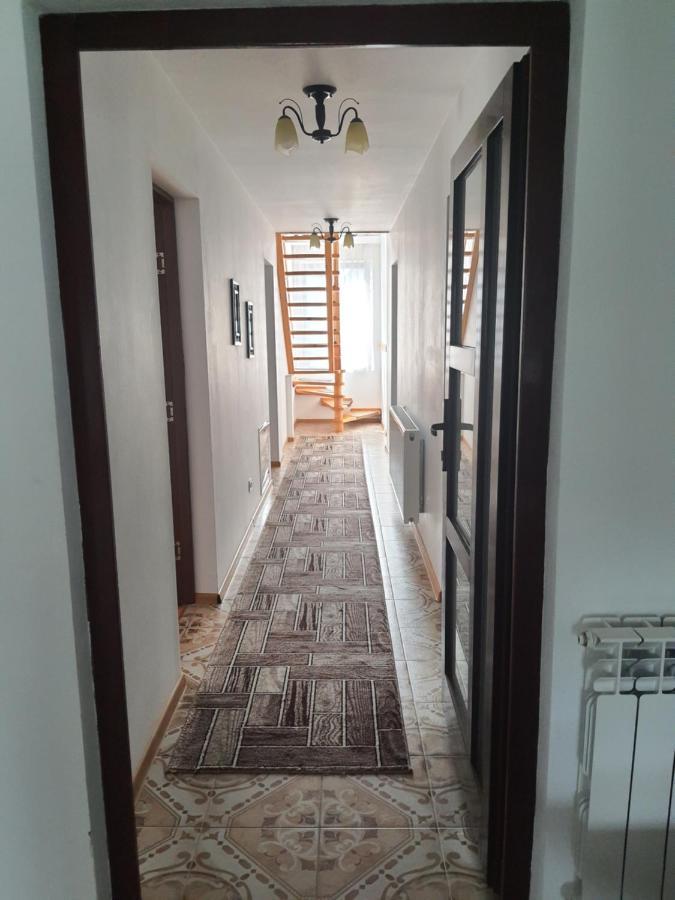 فندق Casa Alma Borşa المظهر الخارجي الصورة