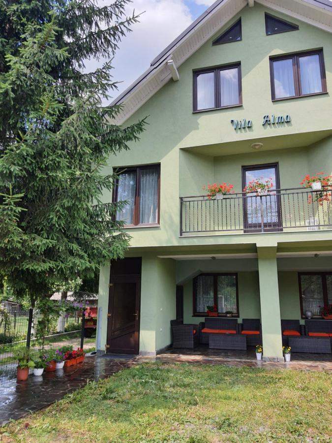 فندق Casa Alma Borşa المظهر الخارجي الصورة